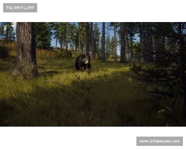 五个理由让你无法抗拒《猎人×猎人》的精彩冒险世界